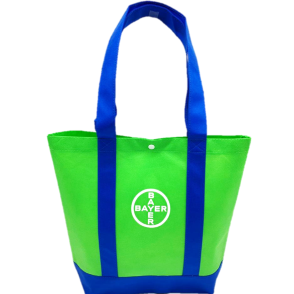 Non woven bag EC-H1033